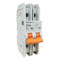 2478040000 WEIDMULLER MCB 489 2P C 1.0A  ACDC