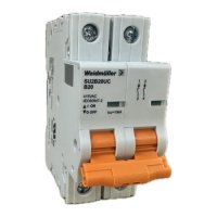 2479680000 WEIDMULLER MCB 1077 2P B 20.0A  ACDC