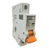 2480080000 WEIDMULLER MCB 1077 1P C 6.0A  ACDC